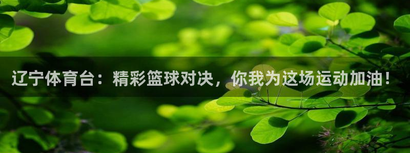 辽宁体育台：精彩篮球对决，你我为这场运动加油！