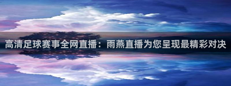 高清足球赛事全网直播：雨燕直播为您呈现最精彩对决