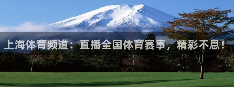 上海体育频道：直播全国体育赛事，精彩不息！