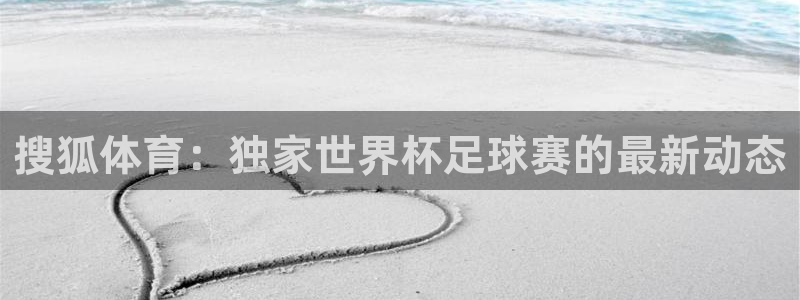 搜狐体育：独家世界杯足球赛的最新动态