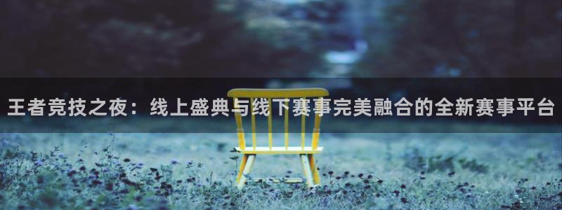 王者竞技之夜：线上盛典与线下赛事完美融合的全新赛事平台
