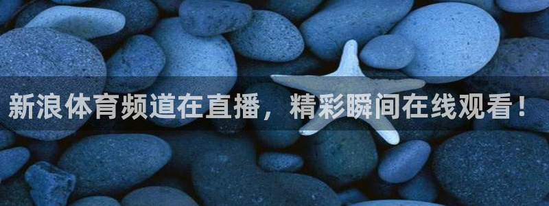 新浪体育频道在直播，精彩瞬间在线观看！