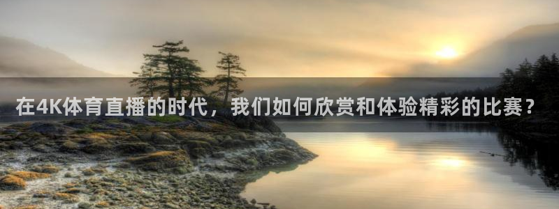 在4K体育直播的时代，我们如何欣赏和体验精彩的比赛？