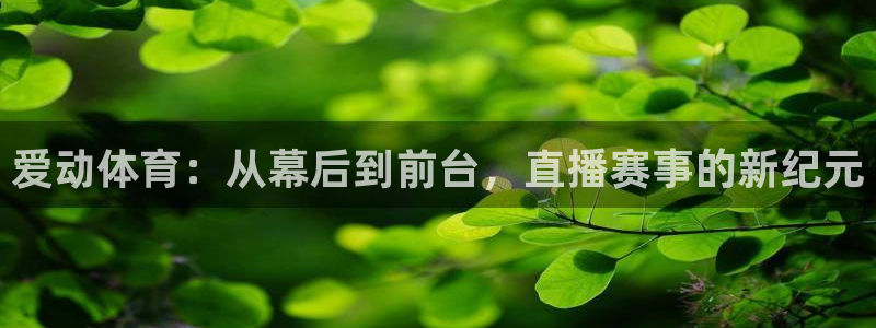 爱动体育：从幕后到前台，直播赛事的新纪元