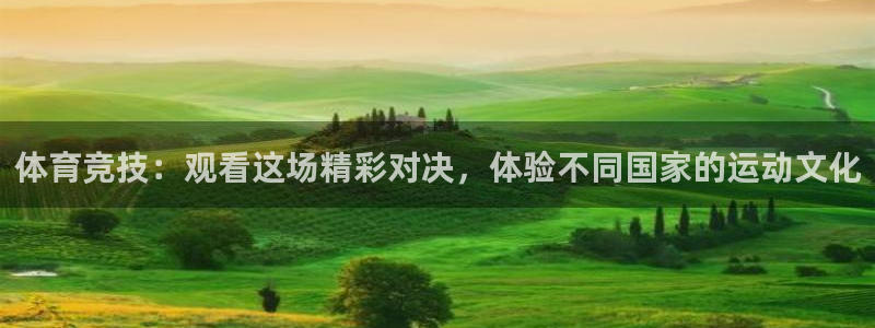 体育竞技：观看这场精彩对决，体验不同国家的运动文化