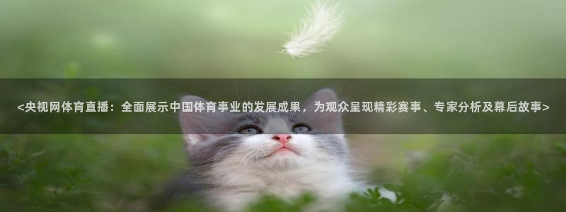 <央视网体育直播：全面展示中国体育事业的发展成果，为观众呈现精彩赛事、专家分析及幕后故事>