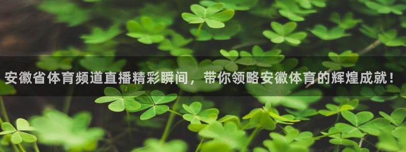 安徽省体育频道直播精彩瞬间，带你领略安徽体育的辉煌成就！