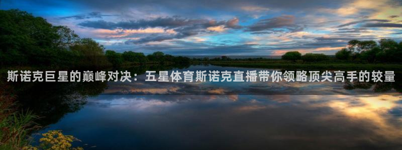 斯诺克巨星的巅峰对决：五星体育斯诺克直播带你领略顶尖高手的较量