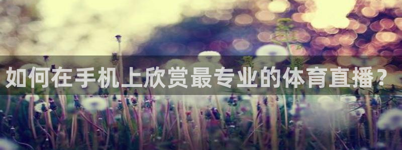 如何在手机上欣赏最专业的体育直播？