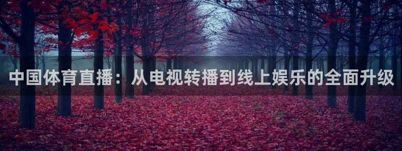 中国体育直播：从电视转播到线上娱乐的全面升级