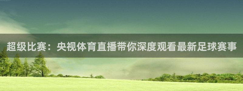 超级比赛：央视体育直播带你深度观看最新足球赛事