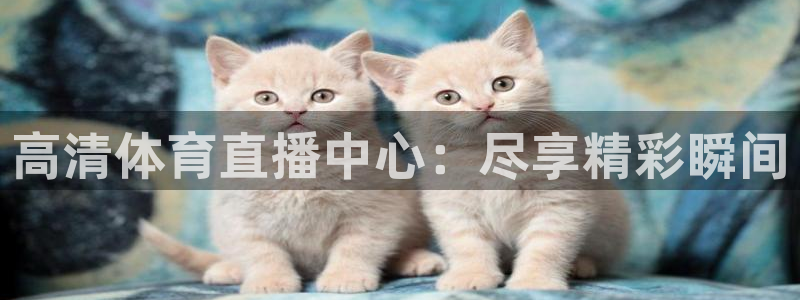 高清体育直播中心：尽享精彩瞬间