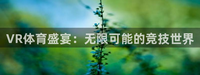 VR体育盛宴：无限可能的竞技世界