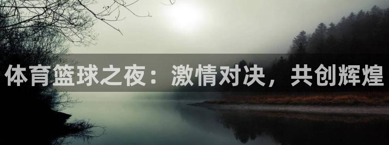 体育篮球之夜：激情对决，共创辉煌