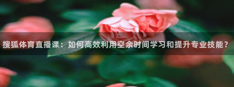 搜狐体育直播课：如何高效利用空余时间学习和提升专业技能？