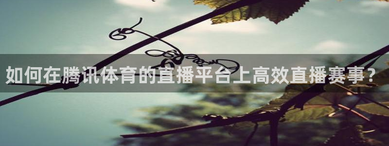 如何在腾讯体育的直播平台上高效直播赛事？