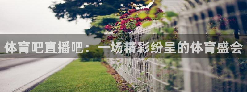 体育吧直播吧：一场精彩纷呈的体育盛会