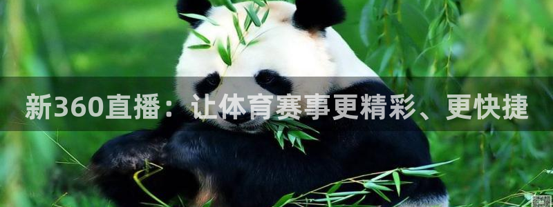 新360直播：让体育赛事更精彩、更快捷