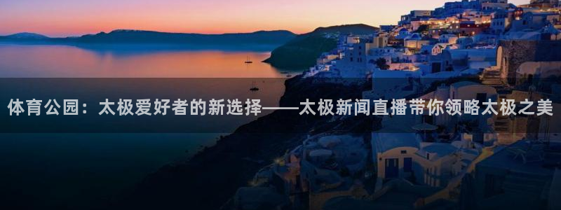 体育公园：太极爱好者的新选择——太极新闻直播带你领略太极之美