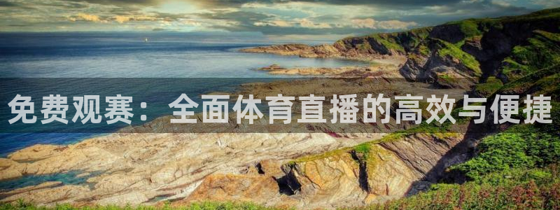免费观赛：全面体育直播的高效与便捷