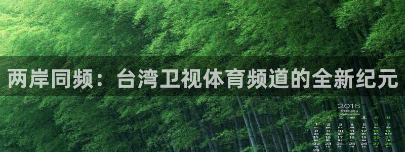 两岸同频：台湾卫视体育频道的全新纪元