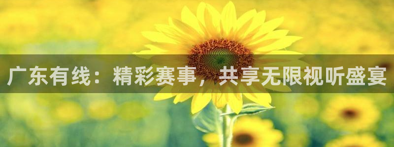 广东有线：精彩赛事，共享无限视听盛宴