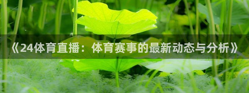 《24体育直播：体育赛事的最新动态与分析》