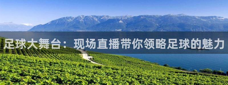足球大舞台：现场直播带你领略足球的魅力