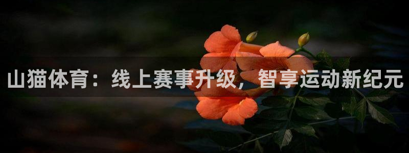 山猫体育：线上赛事升级，智享运动新纪元