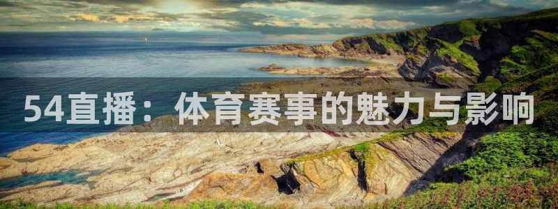 54直播：体育赛事的魅力与影响
