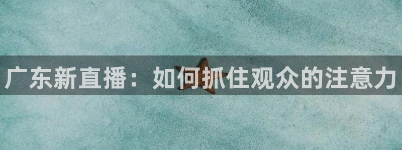 广东新直播：如何抓住观众的注意力