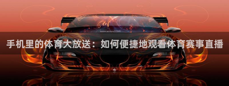 手机里的体育大放送：如何便捷地观看体育赛事直播