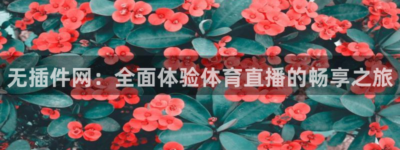 无插件网：全面体验体育直播的畅享之旅