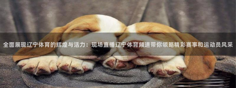全面展现辽宁体育的辉煌与活力：现场直播辽宁体育频道带你领略精彩赛事和运动员风采