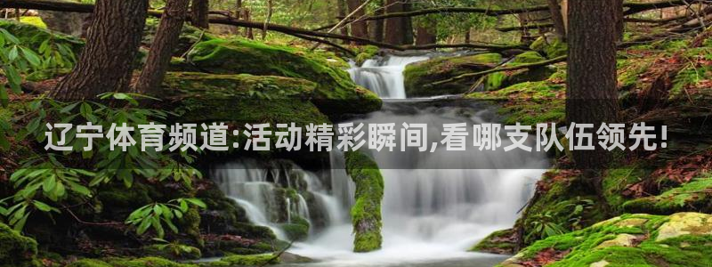 辽宁体育频道:活动精彩瞬间,看哪支队伍领先!