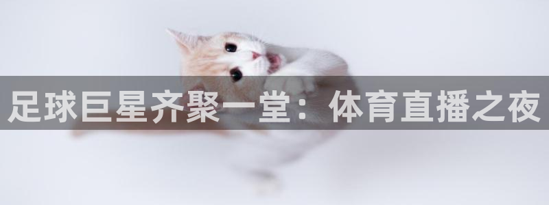 足球巨星齐聚一堂：体育直播之夜