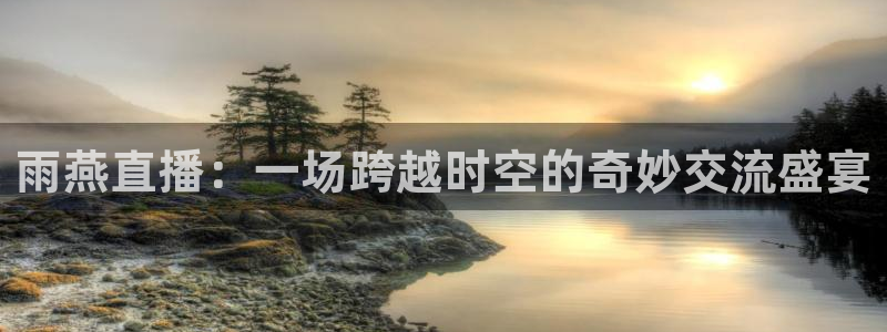 雨燕直播：一场跨越时空的奇妙交流盛宴
