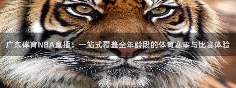 广东体育NBA直播：一站式覆盖全年龄段的体育赛事与比赛体验